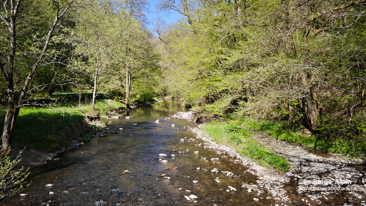 Riviere Lieser dans la foret printaniere, lit caillouteux clair, jeunes feuilles vert tendre, Vulkaneifel