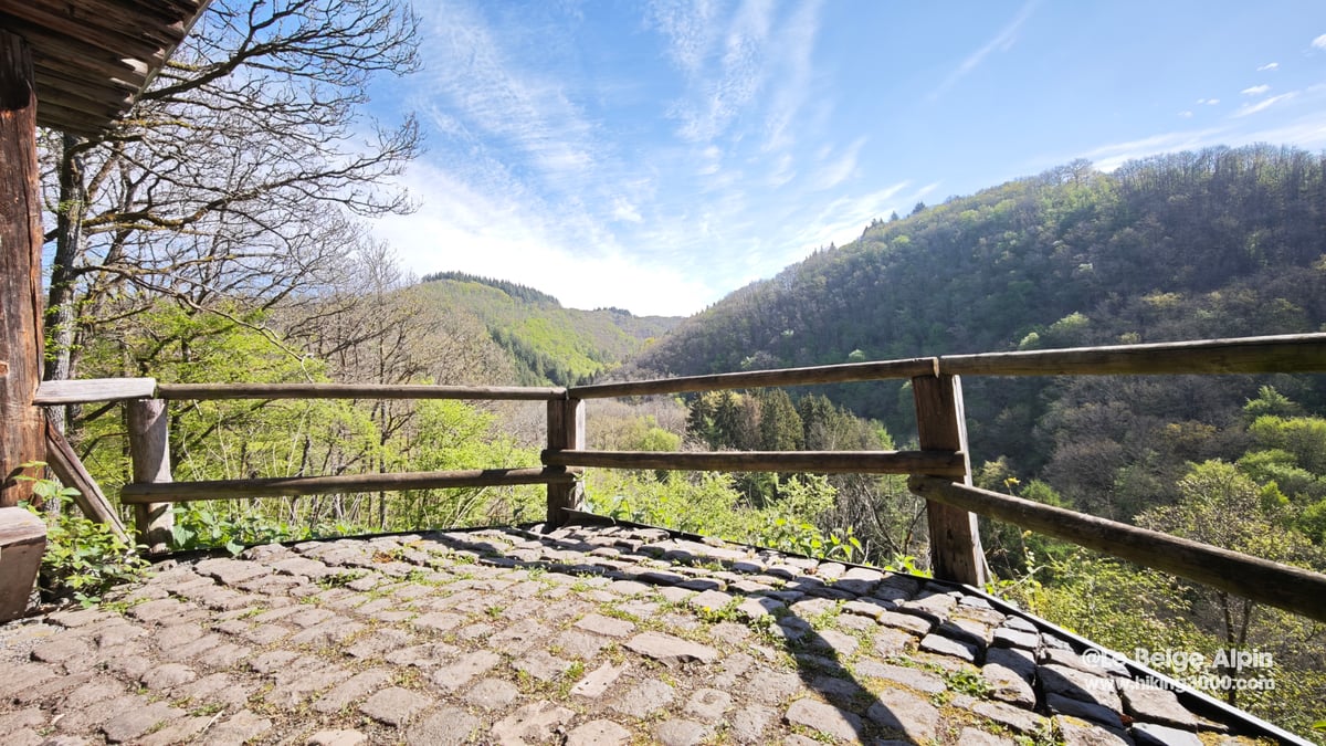 Belvedere pave avec barriere en bois, vue plongeante sur la vallee boisee de la Lieser, Eifel