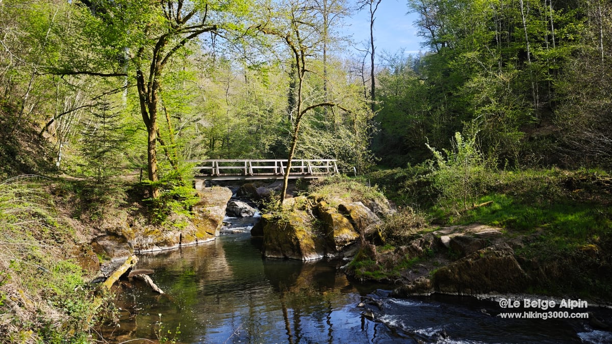 Wooden footbridge over a side stream, moss and small waterfall
