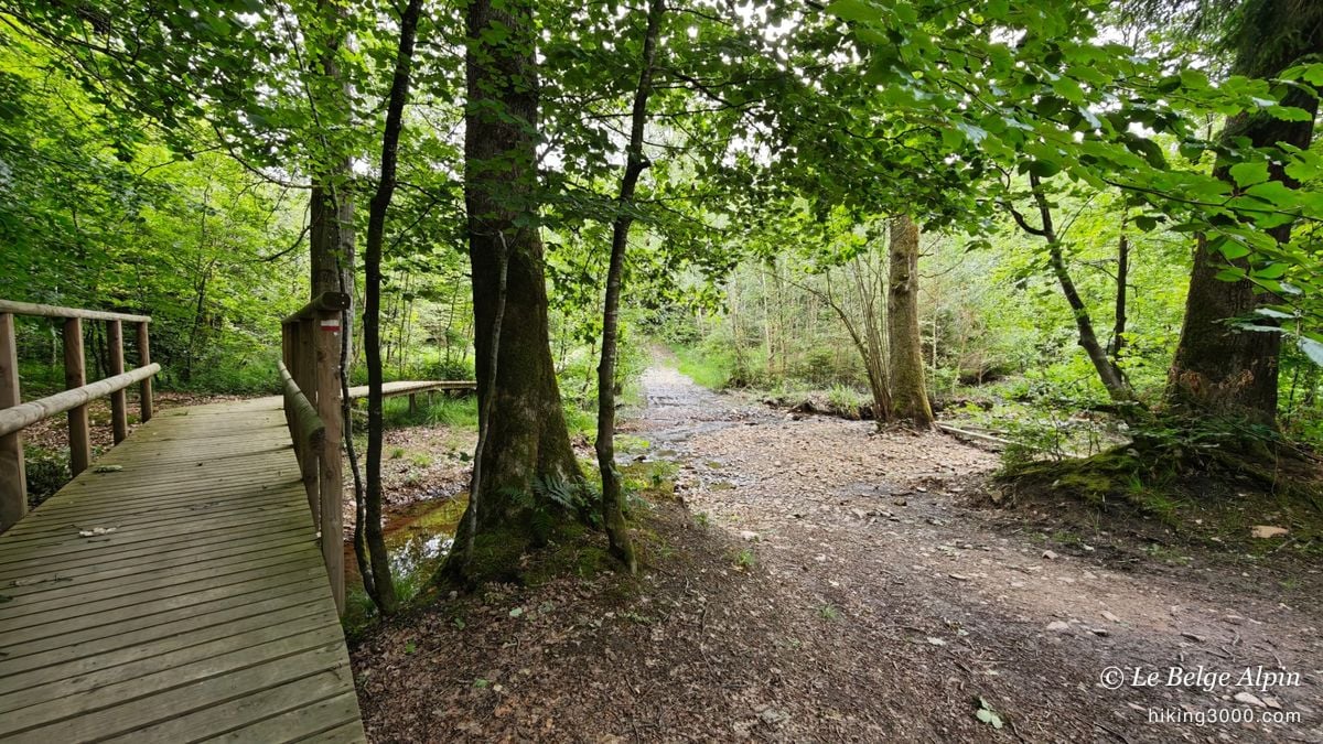 Harre Loop (22 km, 720 m gain)