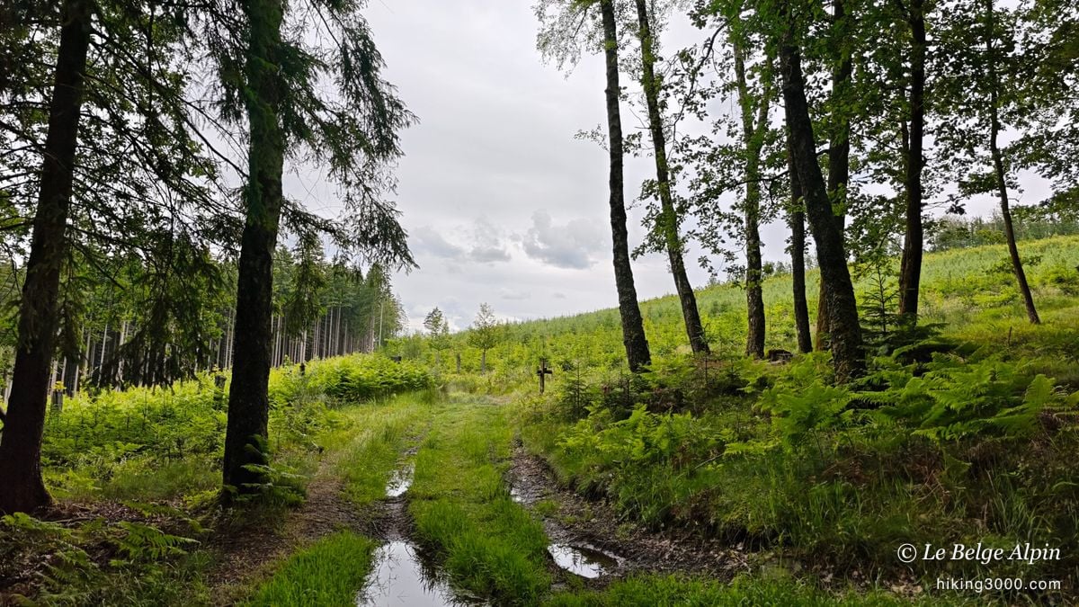 Harre Loop (22 km, 720 m gain)
