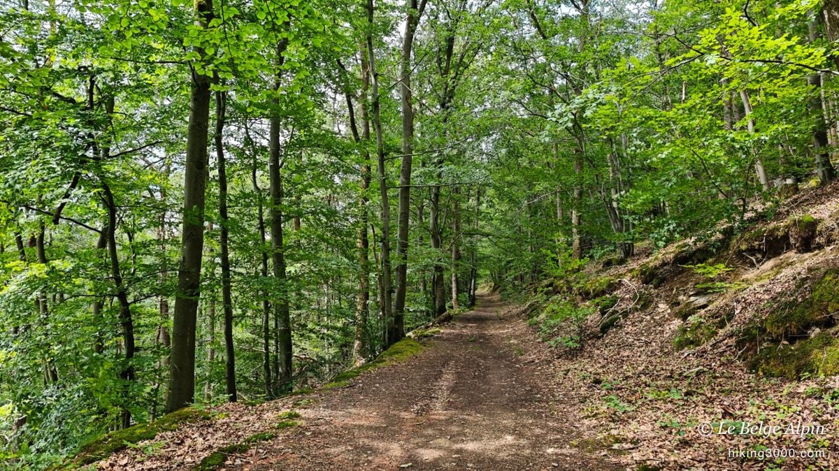 Harre Loop (22 km, 720 m gain)
