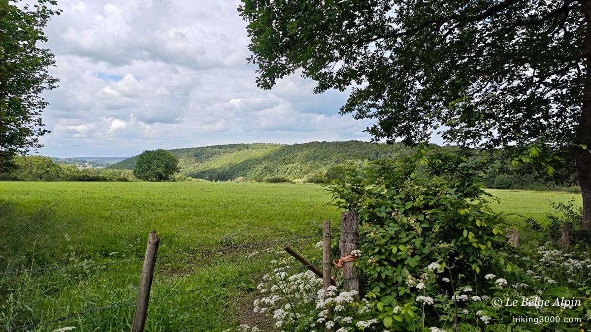 Boucle de Harre (22 km, 720 D+)
