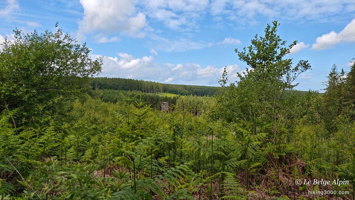 Harre Loop (22 km, 720 m gain)