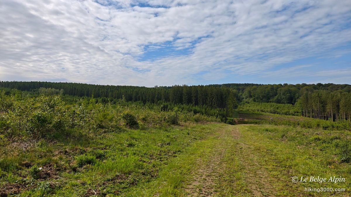 Harre Loop (22 km, 720 m gain)