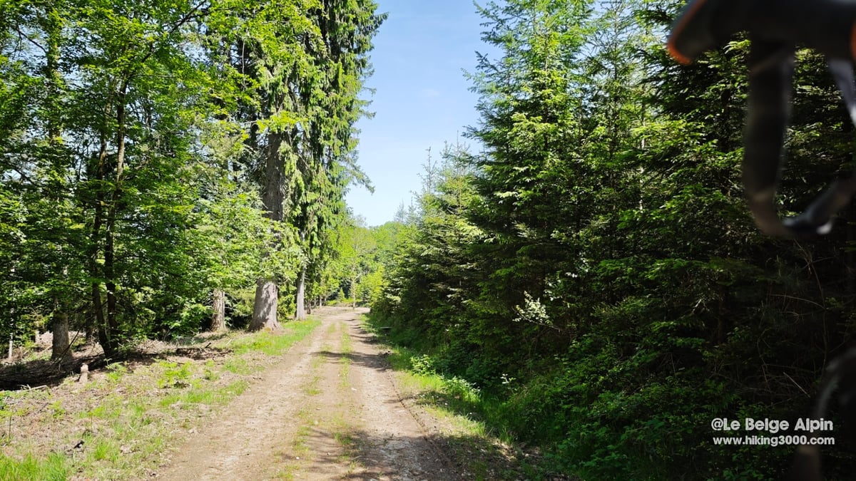 Lorcé Loop (21 km, 520 m gain)
