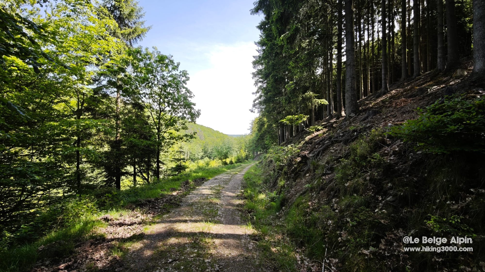 Lorcé Loop (21 km, 520 m gain), hero