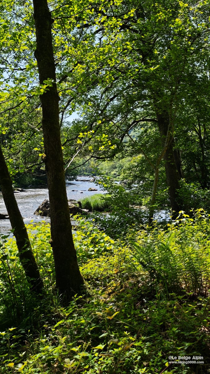 Lorcé Loop (21 km, 520 m gain)