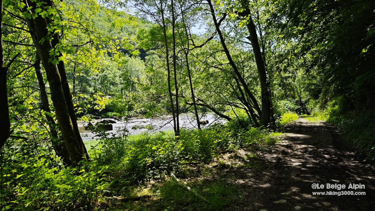 Lorcé Loop (21 km, 520 m gain)