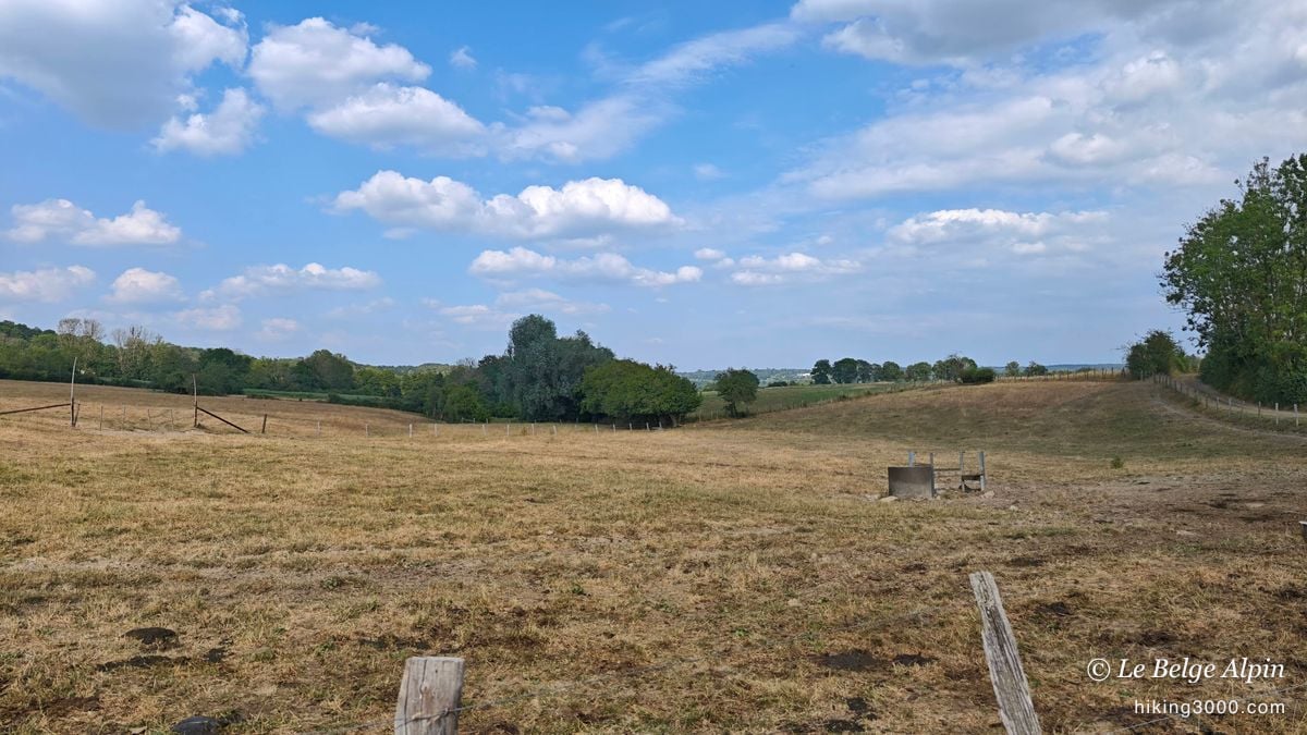 Semi-wild loop at Sendrogne (15.75 km, 453 D+)