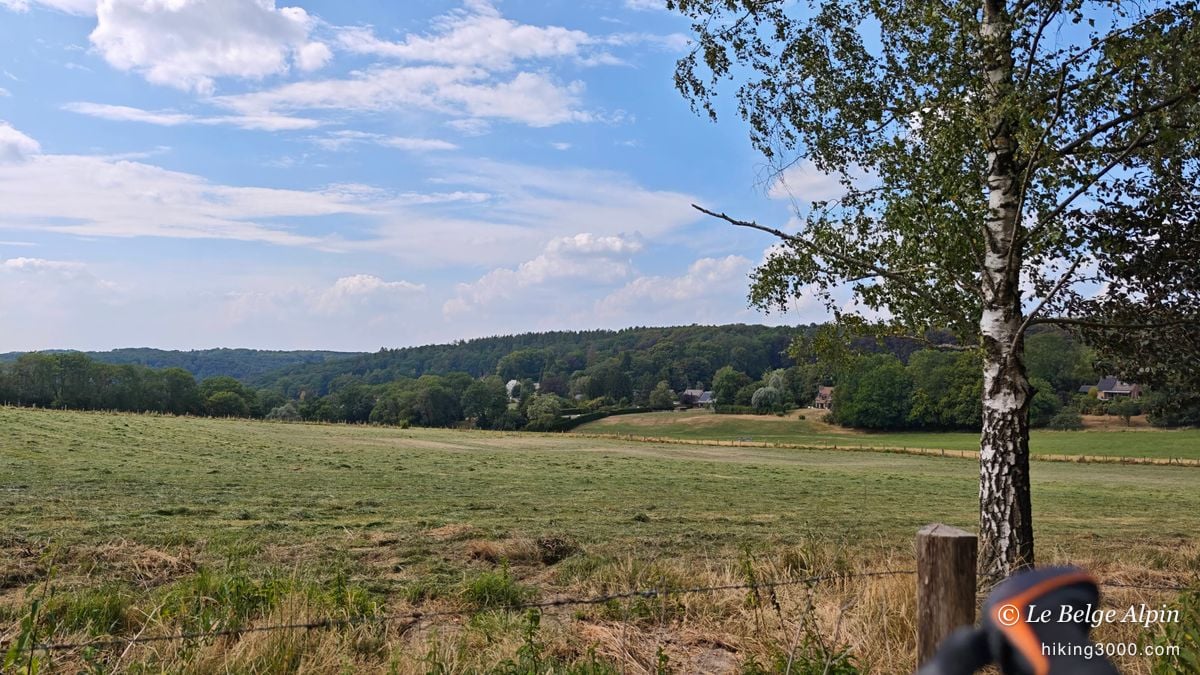 Semi-wild loop at Sendrogne (15.75 km, 453 D+)