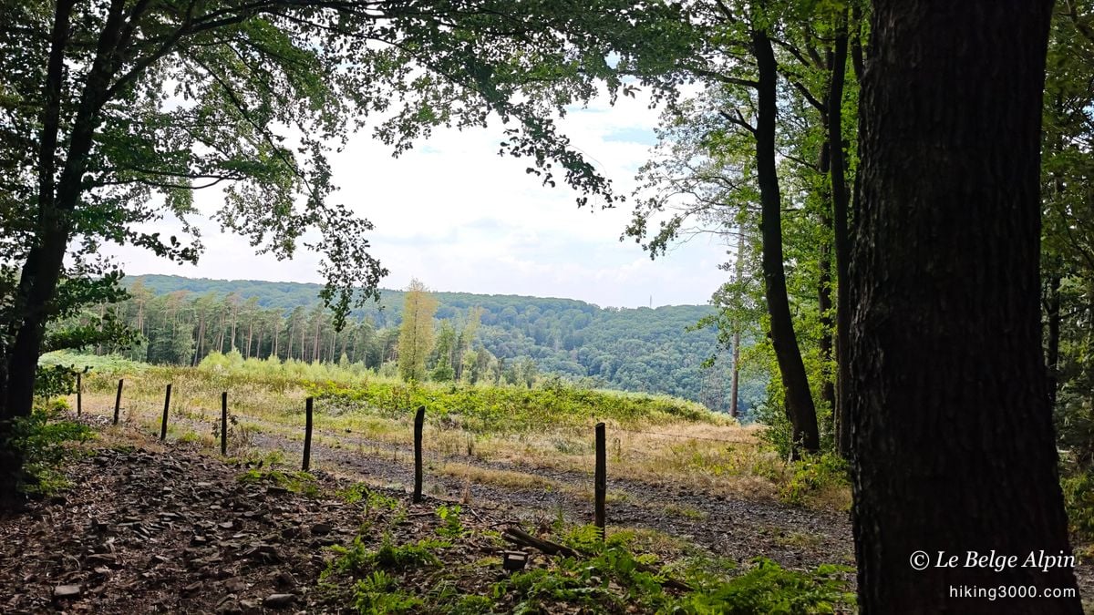 Semi-wild loop at Sendrogne (15.75 km, 453 D+)