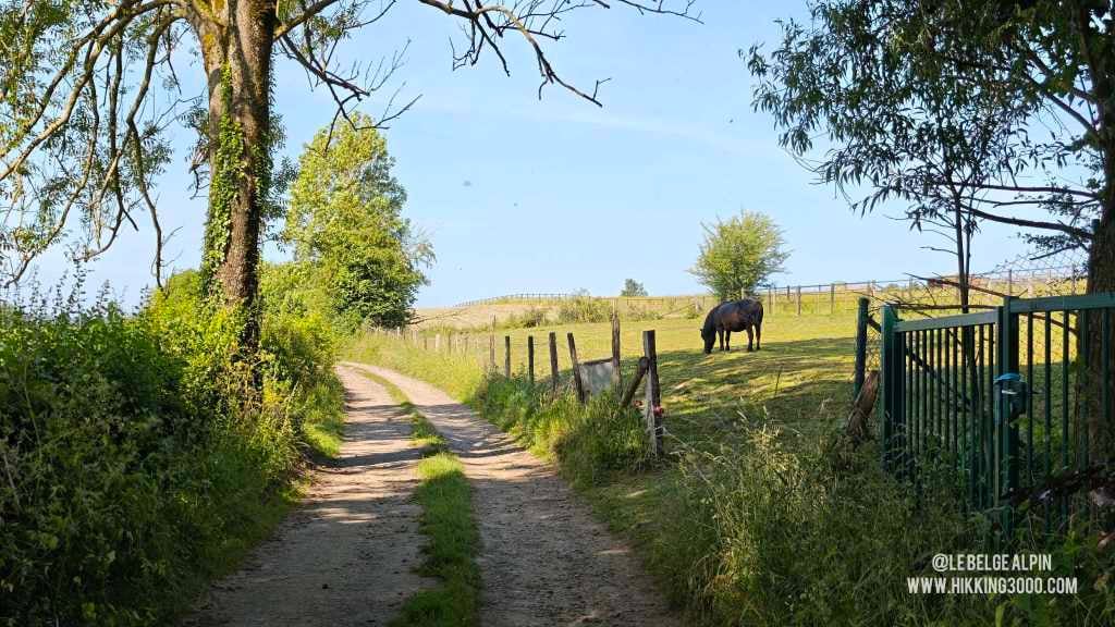 Boucle Chanxhe et Esneux sud (21 km — 650 D+)