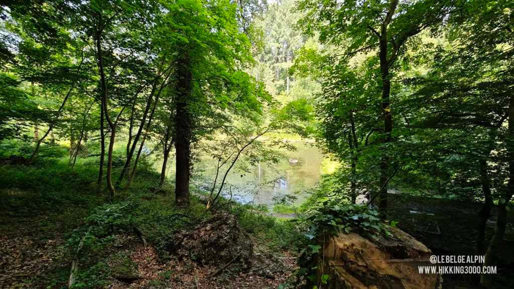 Boucle Chanxhe et Esneux sud (21 km — 650 D+)