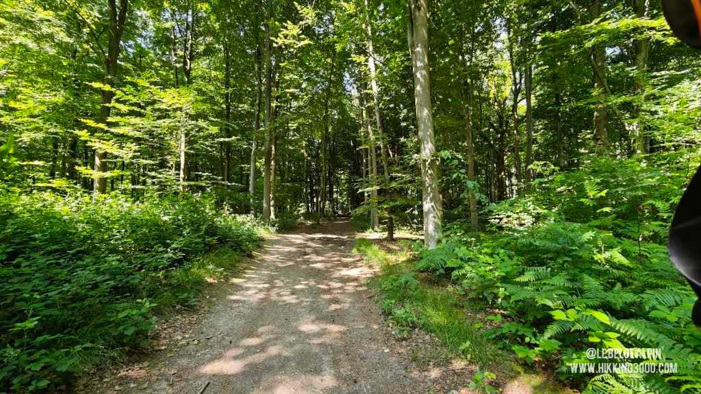 Boucle Chanxhe et Esneux sud (21 km — 650 D+)