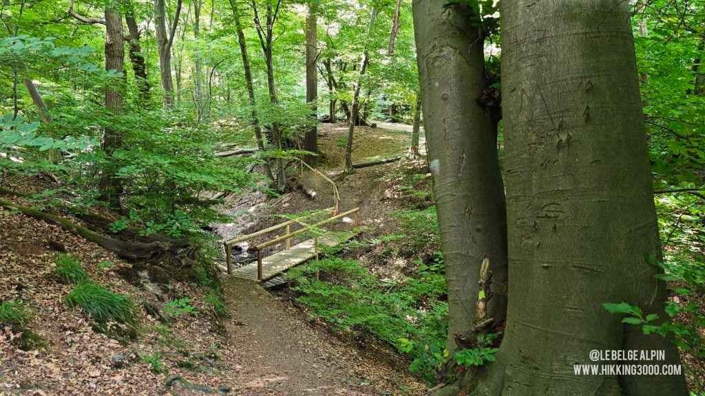 Boucle Chanxhe et Esneux sud (21 km — 650 D+)