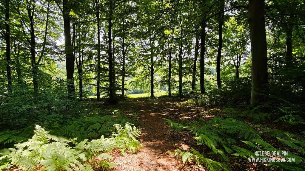 Boucle Chanxhe et Esneux sud (21 km — 650 D+)