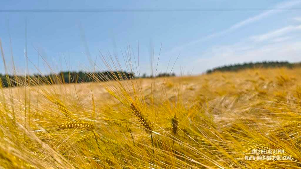 Boucle Chanxhe et Esneux sud (21 km — 650 D+)