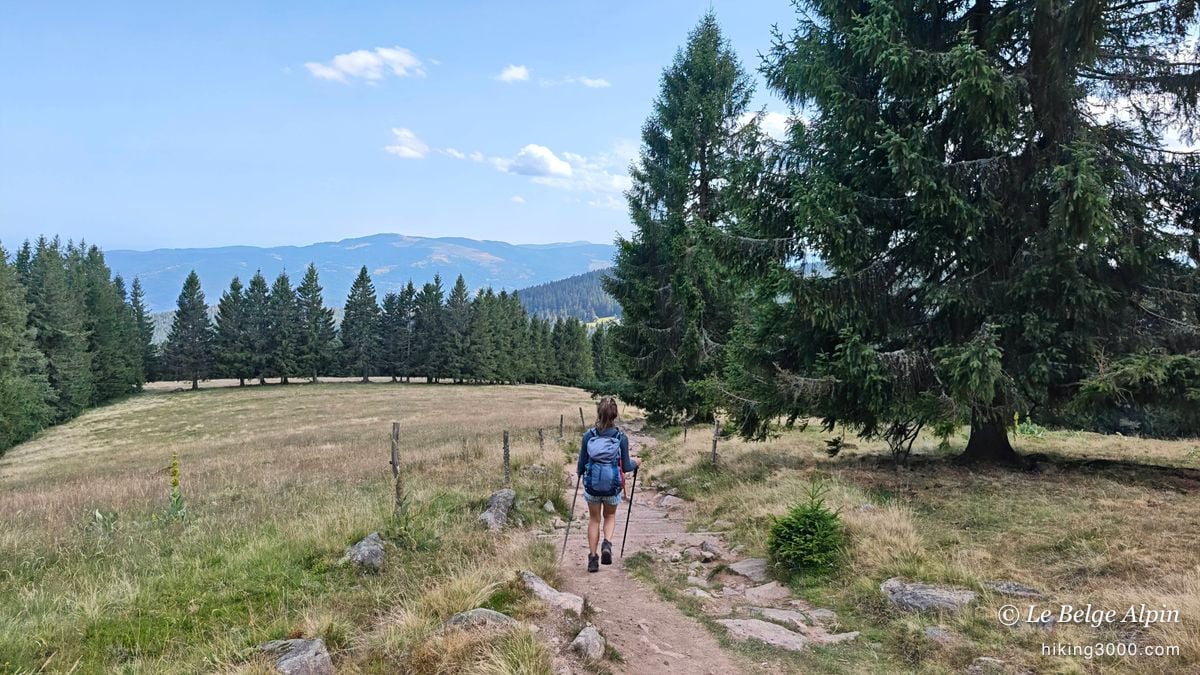 On the high pastures, the trail runs off towards the summits