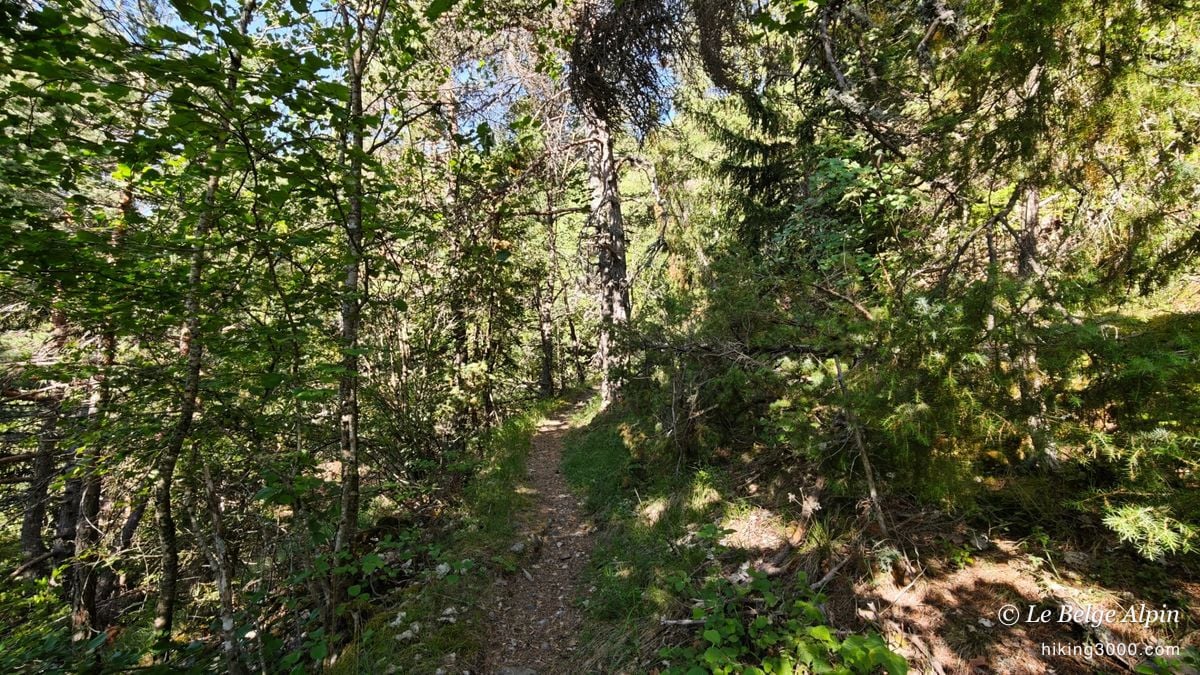 On démarre tranquille, sous les arbres, au fond de la vallée