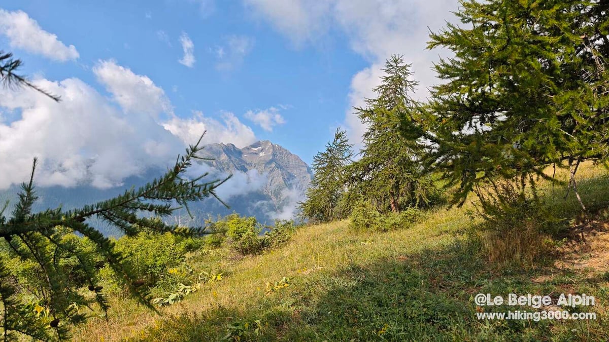 Depart dans les mélèzes, le sommet tête dans les nuages