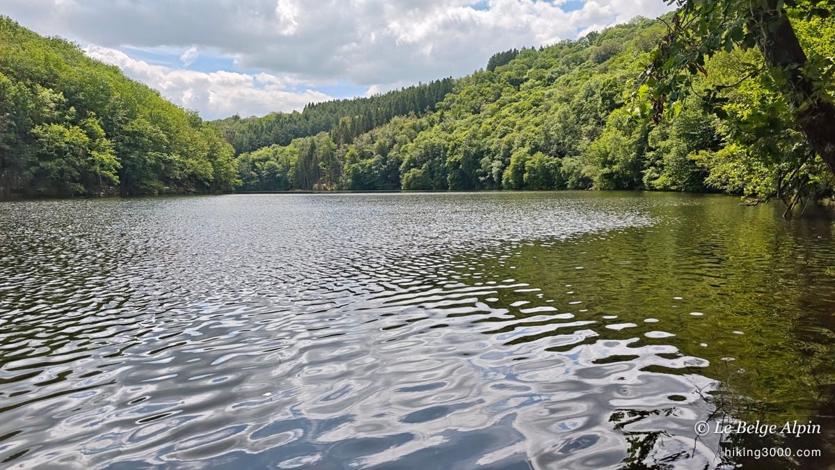 Tour du lac de Nisramont (15 km, 597 D+)