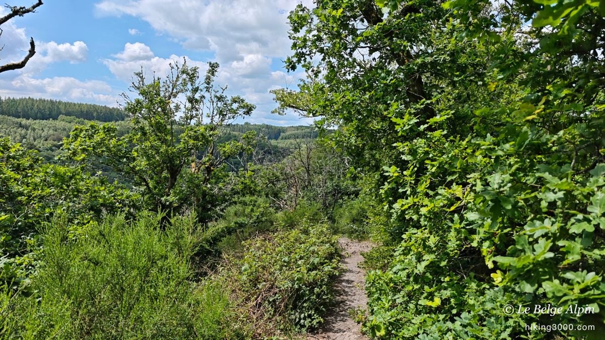 Tour du lac de Nisramont (15 km, 597 D+)