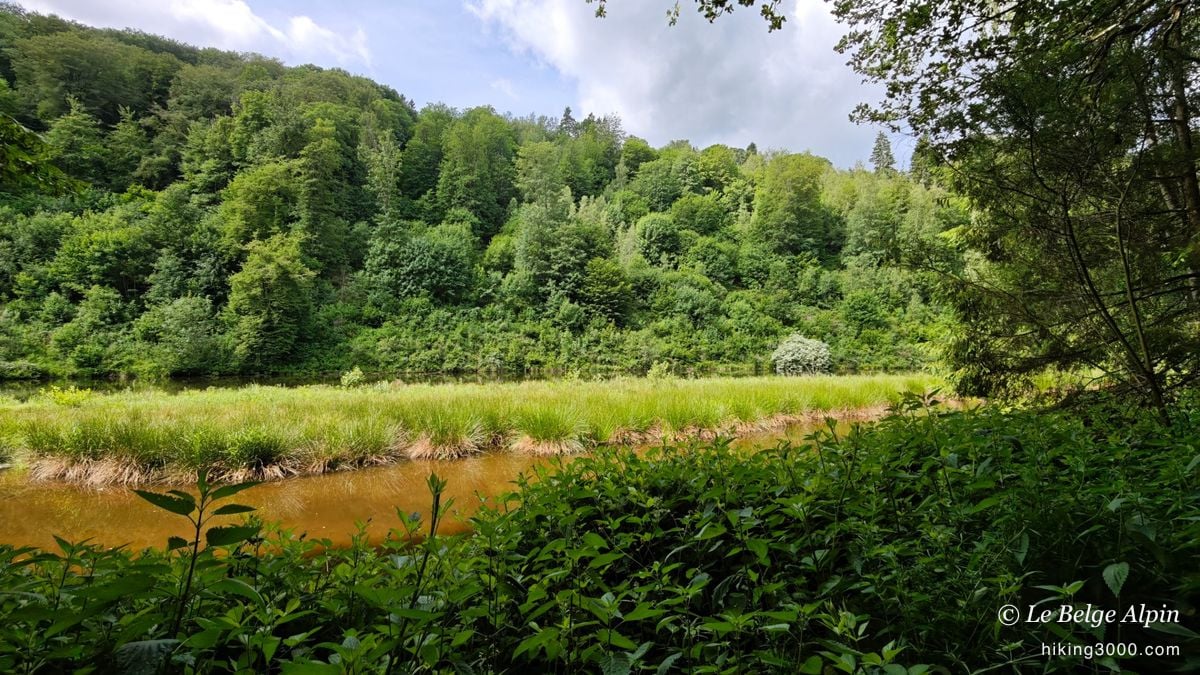 Tour du lac de Nisramont (15 km, 597 D+)