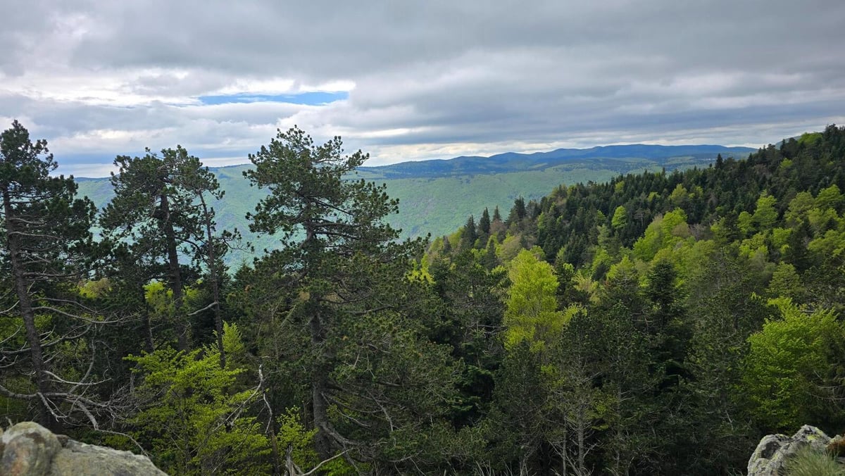 Approche finale, l'Observatoire se dévoile