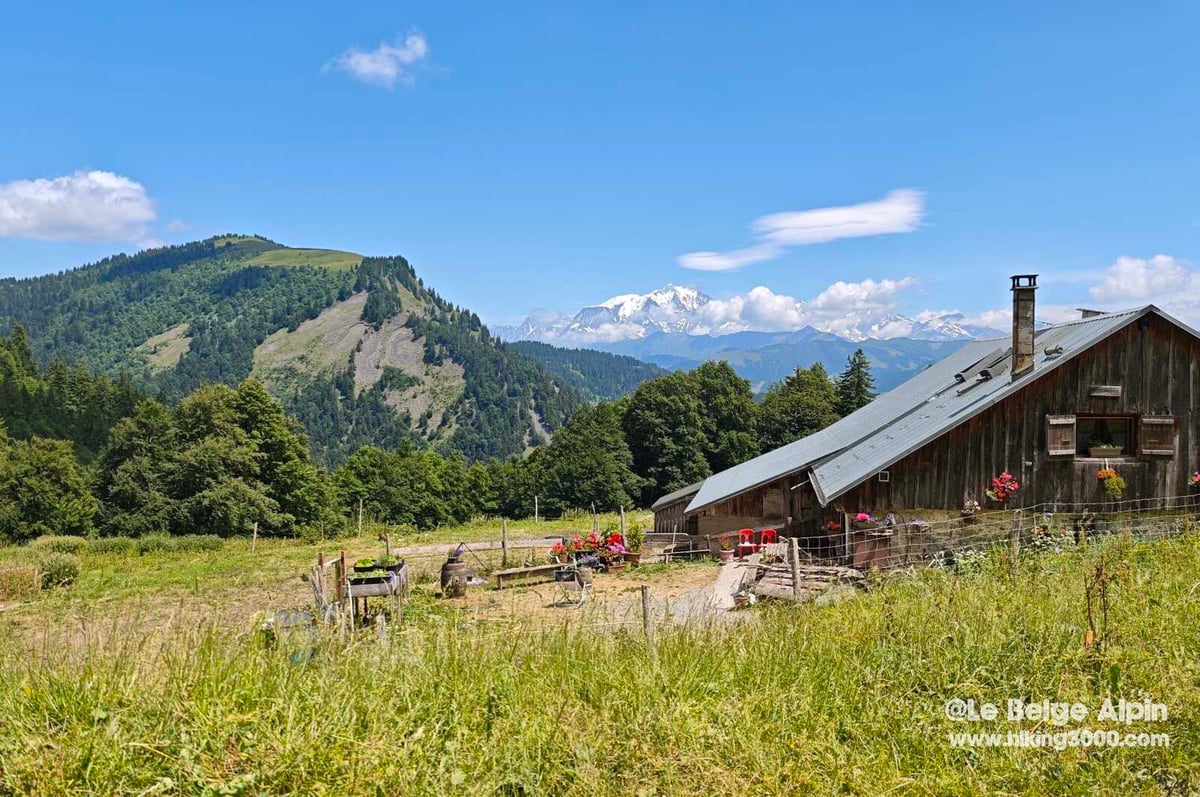 Chalet d'alpage au départ, Mont Blanc en fond