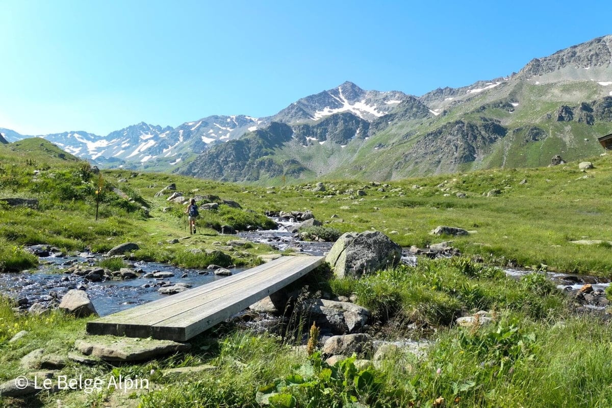 Passerelle sur le torrent, ambiance d'alpage