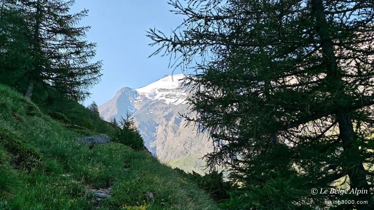 Sortie des derniers mélèzes, le grand blanc en ligne de mire