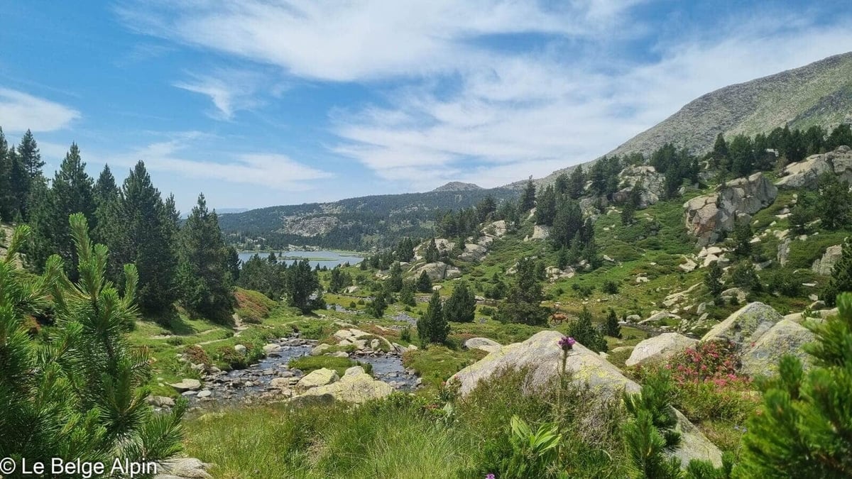 Ruisseau et fleurs, on quitte l'ombre des pins