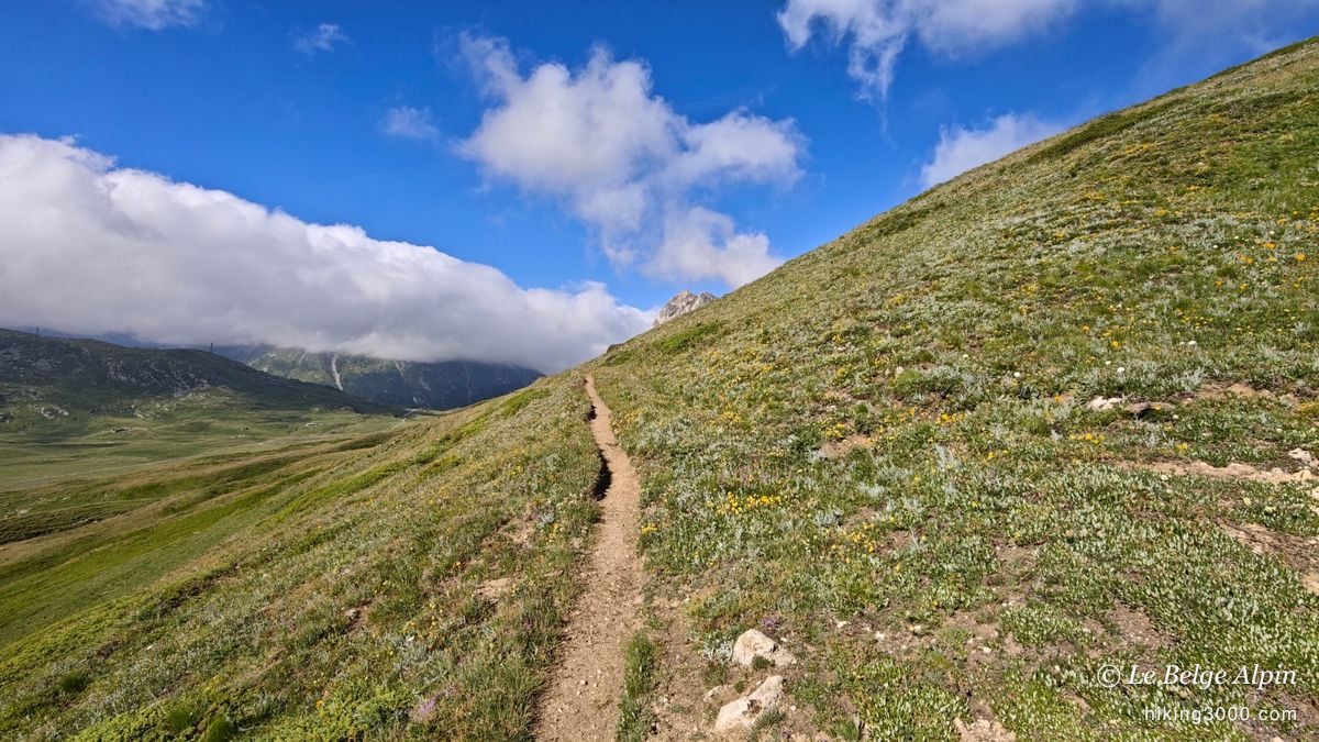 The path runs through flowering meadows toward the Col de Sollières