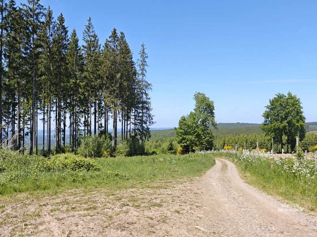 Boucle à Stoumont (15 km — 470 D+)