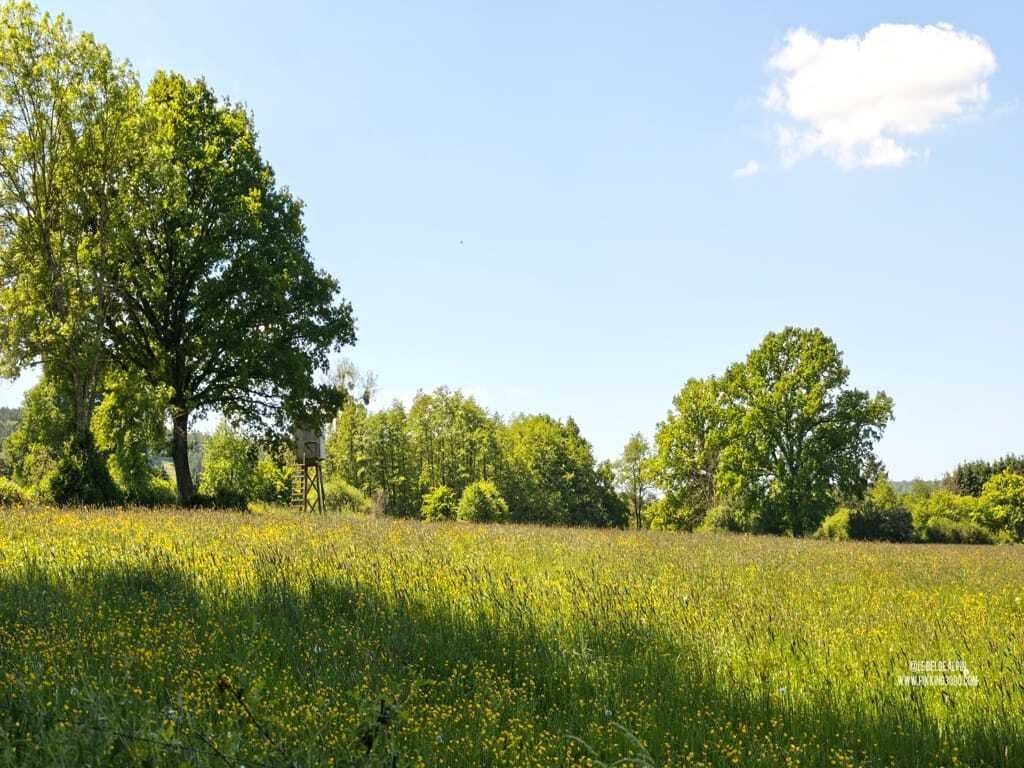 Boucle à Stoumont (15 km — 470 D+)