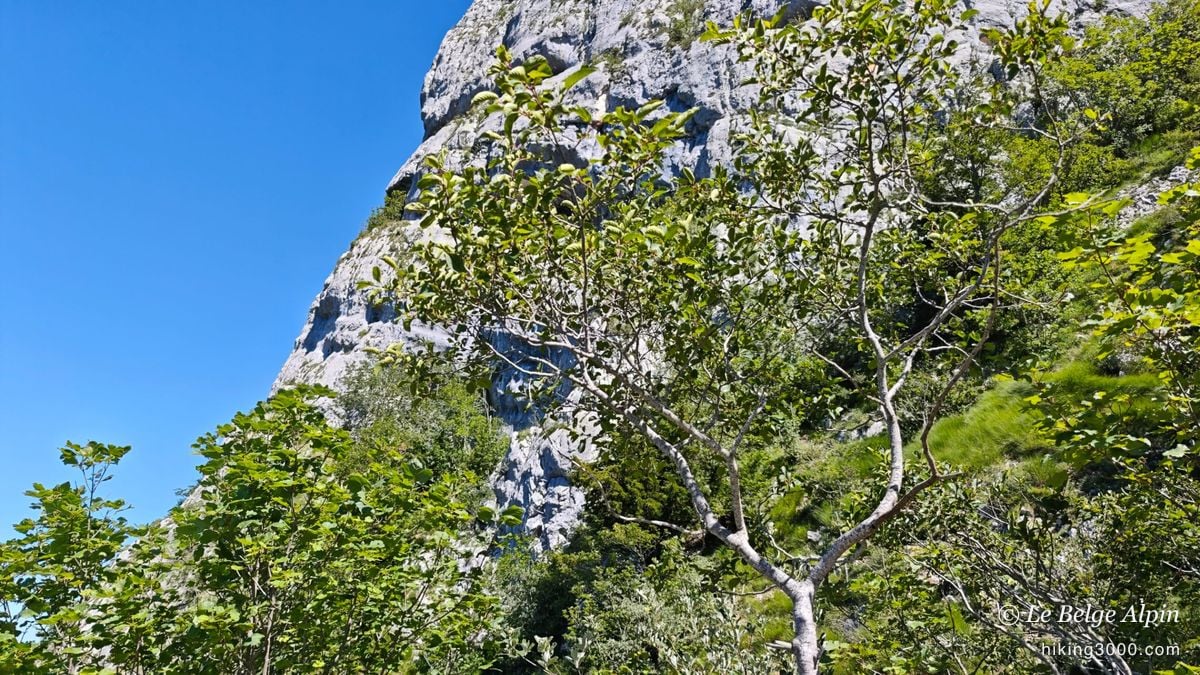 La paroi de la Roche Veyrand dressée dans le ciel