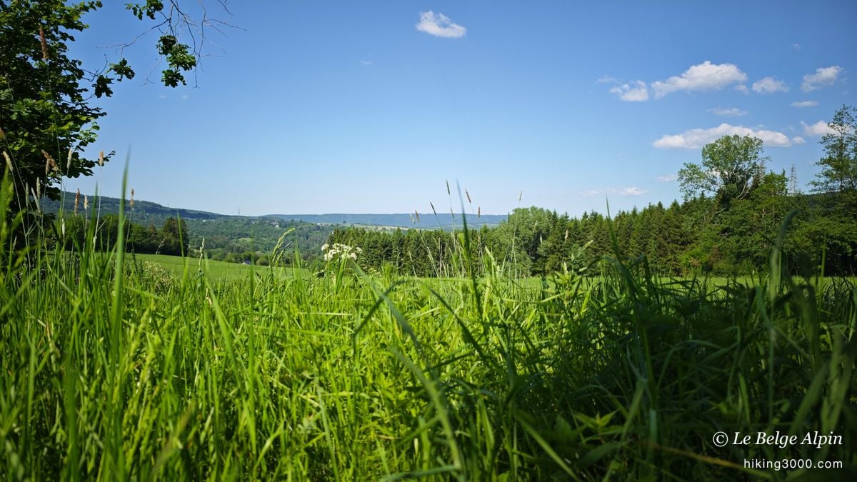 Boucle de Werbomont (20 km, 605 D+)