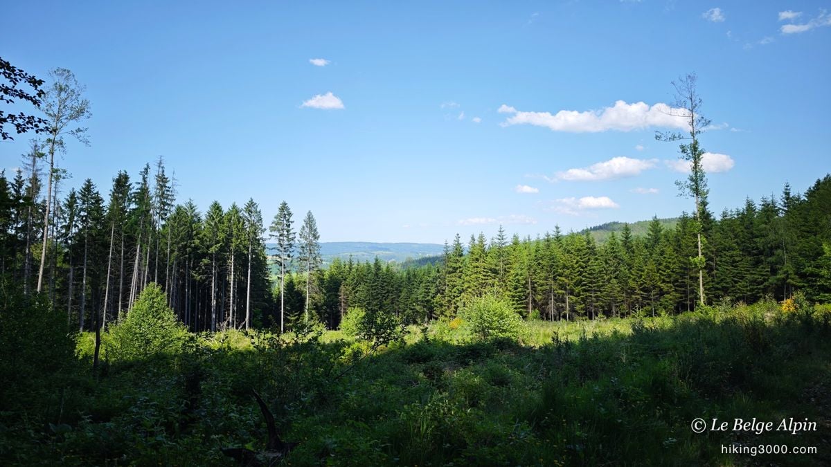 Boucle de Werbomont (20 km, 605 D+)