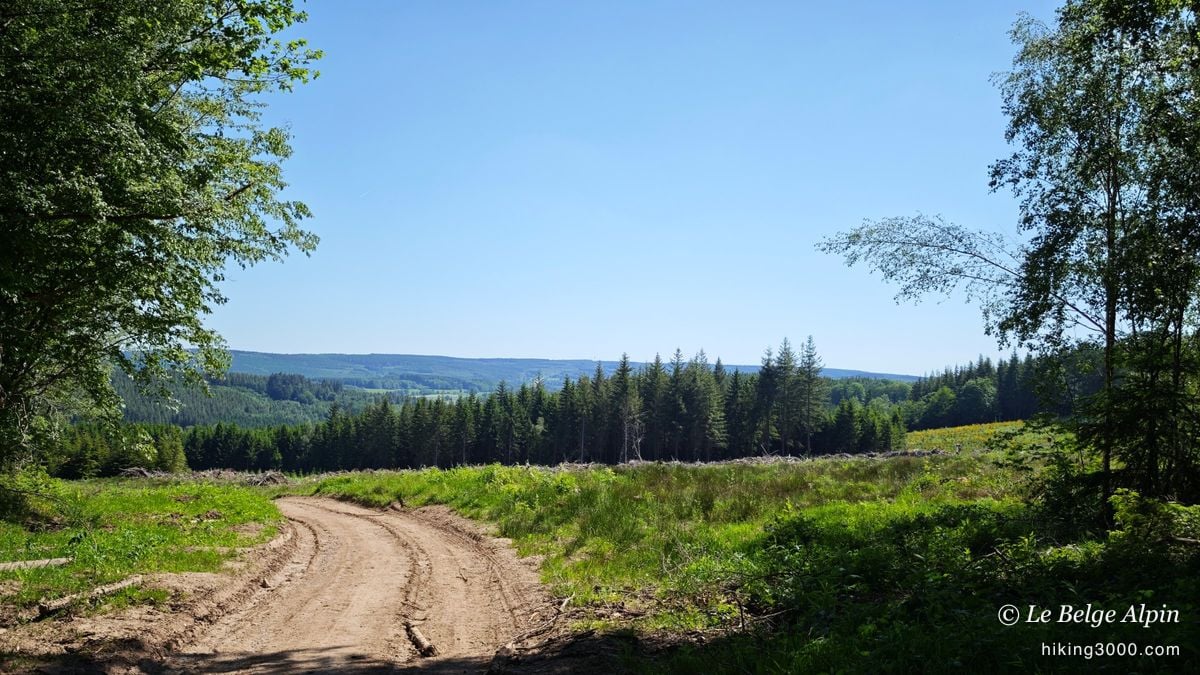 Boucle de Werbomont (20 km, 605 D+)