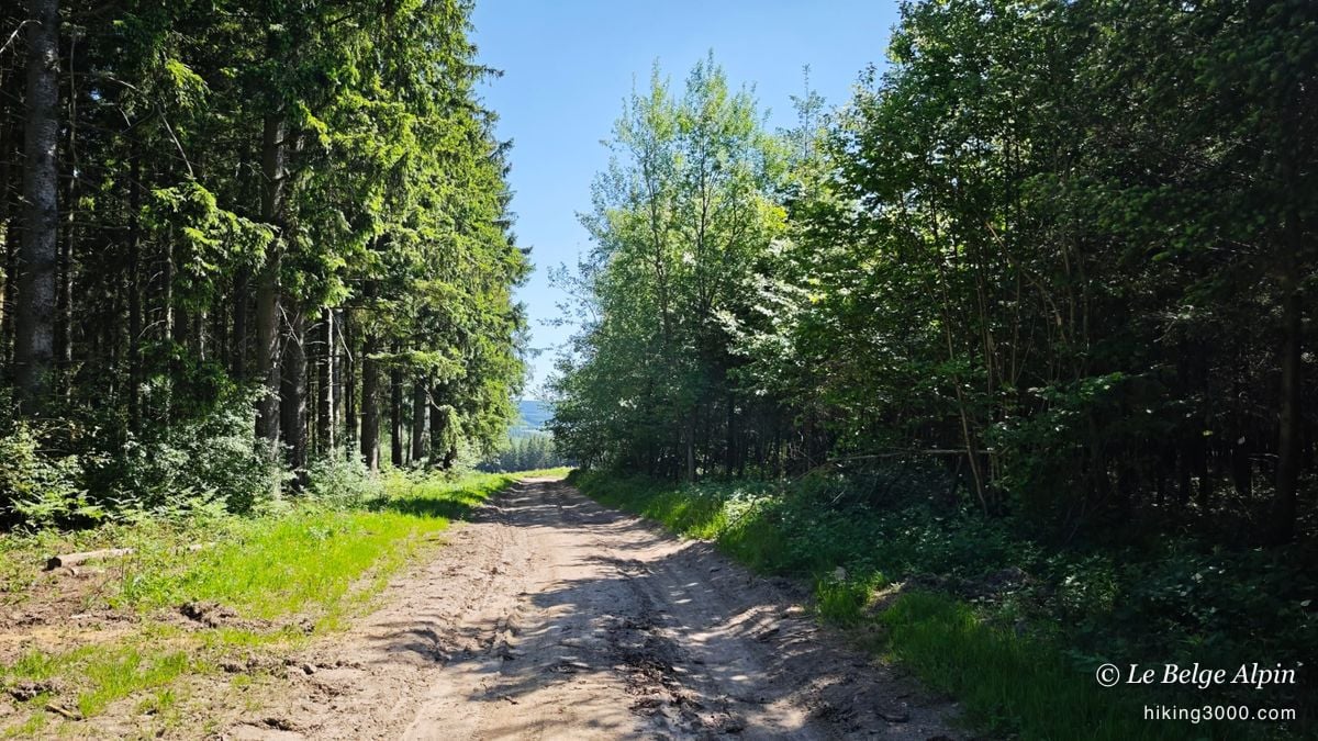 Boucle de Werbomont (20 km, 605 D+)