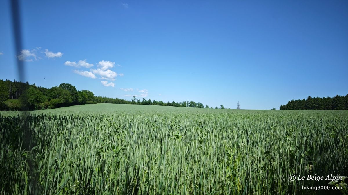 Boucle de Werbomont (20 km, 605 D+)