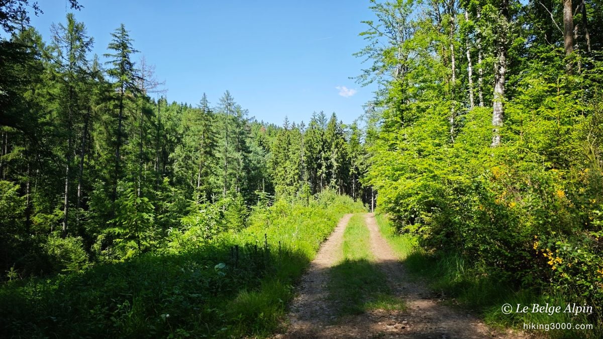 Boucle de Werbomont (20 km, 605 D+)