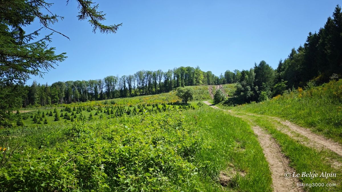 Boucle de Werbomont (20 km, 605 D+)