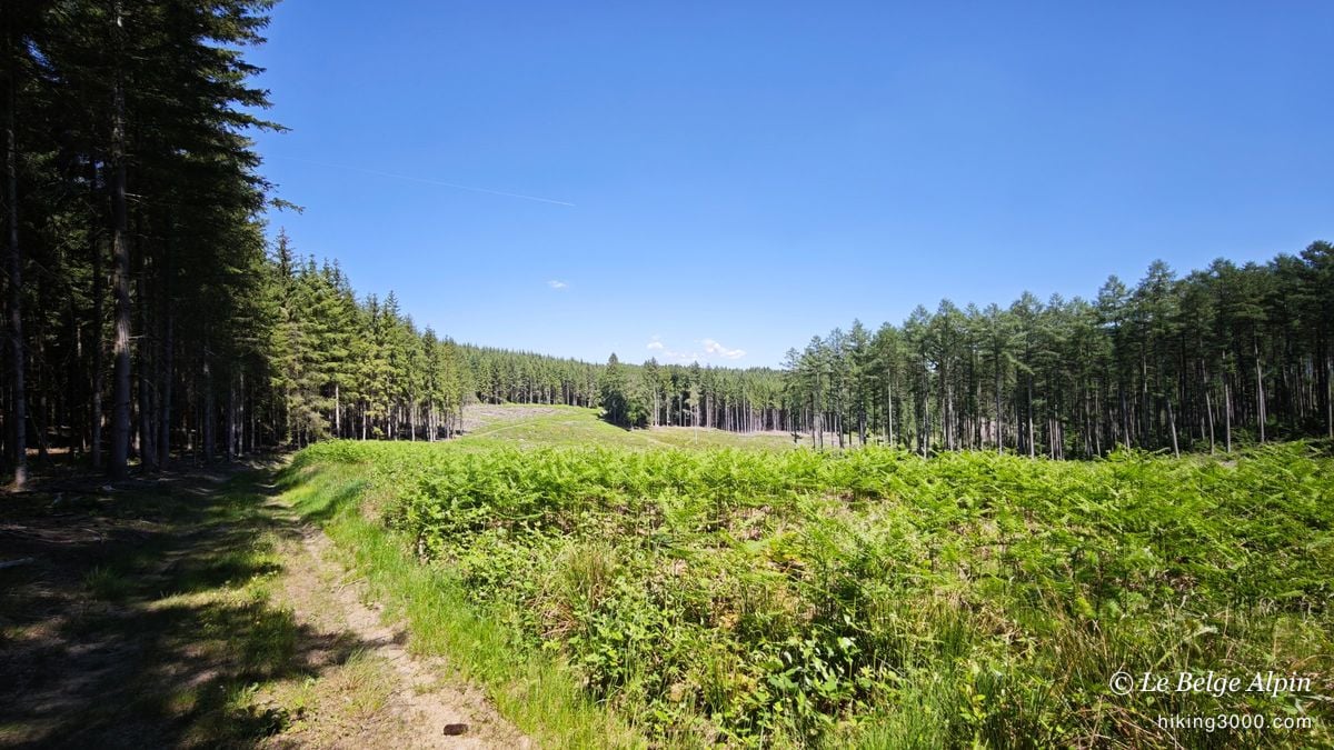 Boucle de Werbomont (20 km, 605 D+)